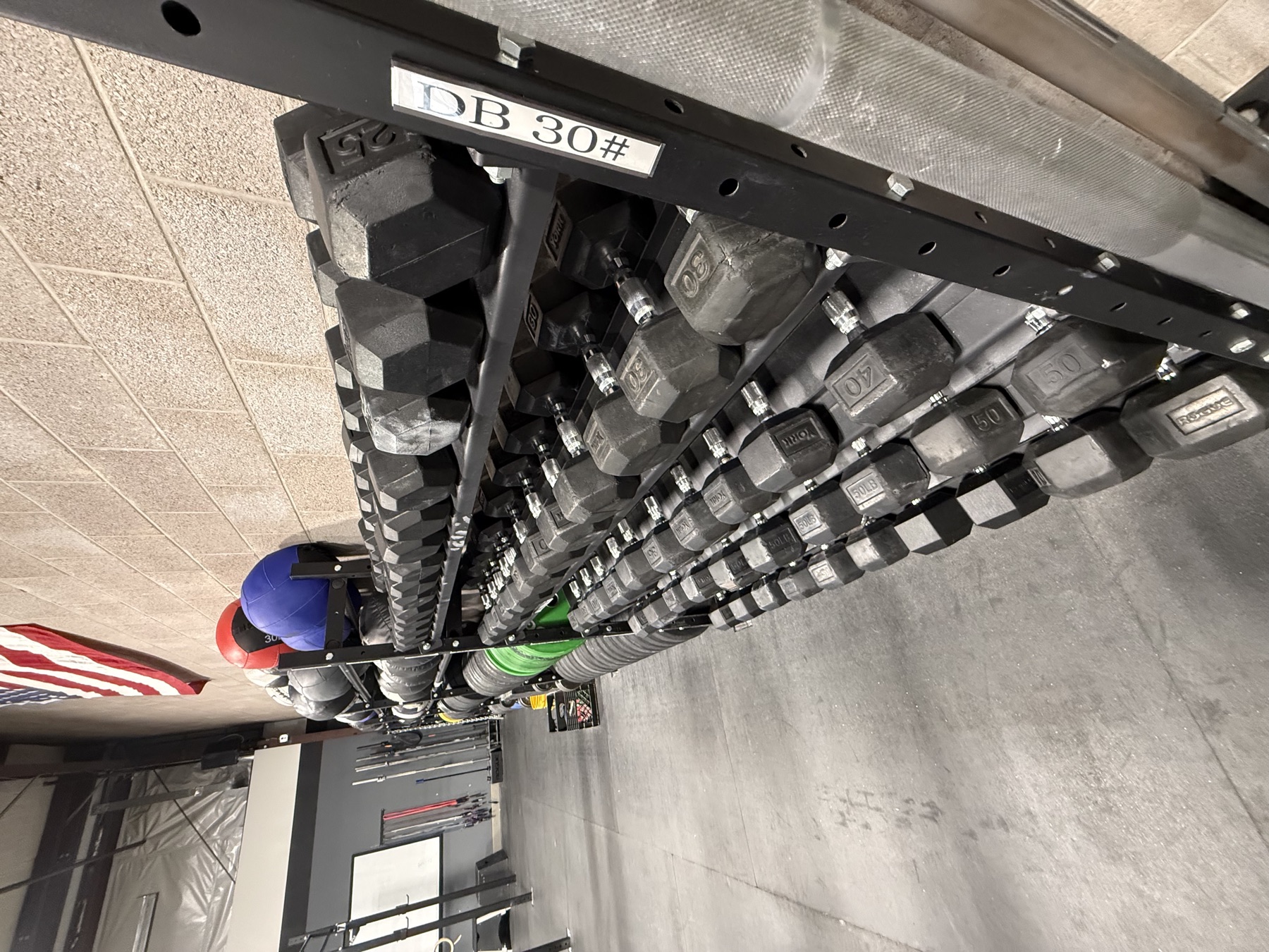 The dumbbell rack